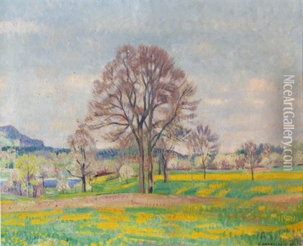Fruhlingslandschaft Bei Moosseedorf Oil Painting - Emil Cardinaux