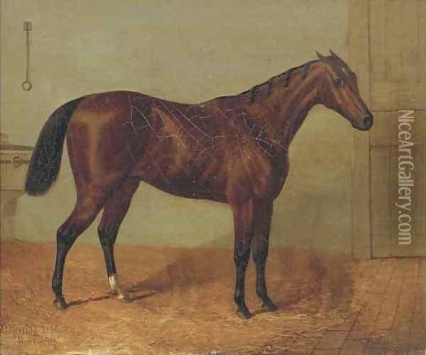 Beeswing, a racehorse in a stable Oil Painting - John Frederick Herring