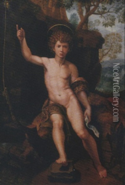 The Youthful Saint John The Baptist Oil Painting - Michiel Coxie the Elder