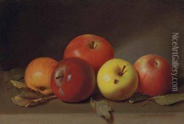Still Life With Apples And Fly Oil Painting - Peter Baumgras