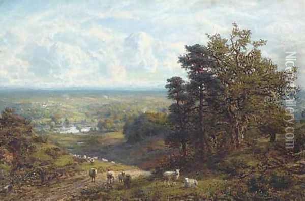 Sheep on a hillside overlooking an extensive landscape Oil Painting - C. W. Mole
