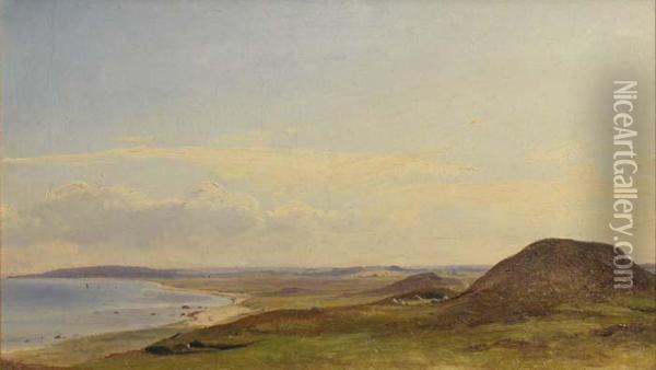 Vue De Hestbjerg Vers Hornbaek Oil Painting - Vilhelm Petersen