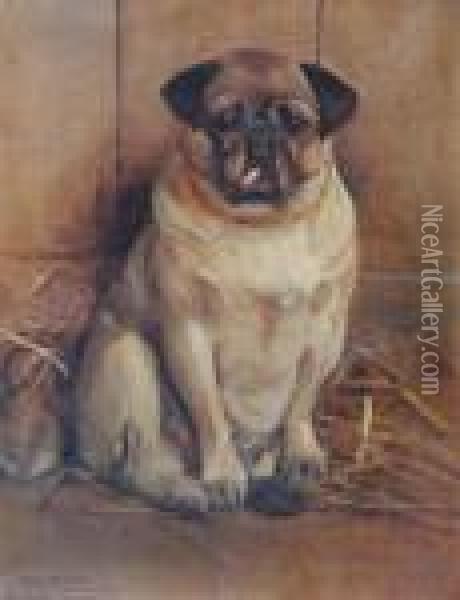 Aseated Pug Dog In A Stable Oil Painting - Samuel Fulton