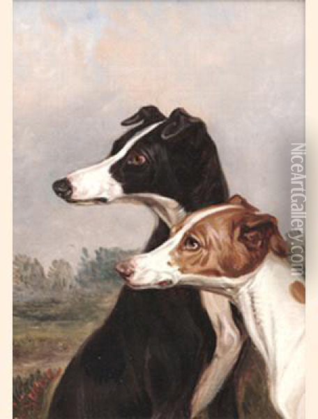Deer Hounds; Greyhounds Oil Painting - Colin Graeme Roe