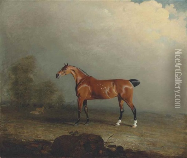 Musk, A Bay Hunter In A Landscape Oil Painting - Benjamin Marshall