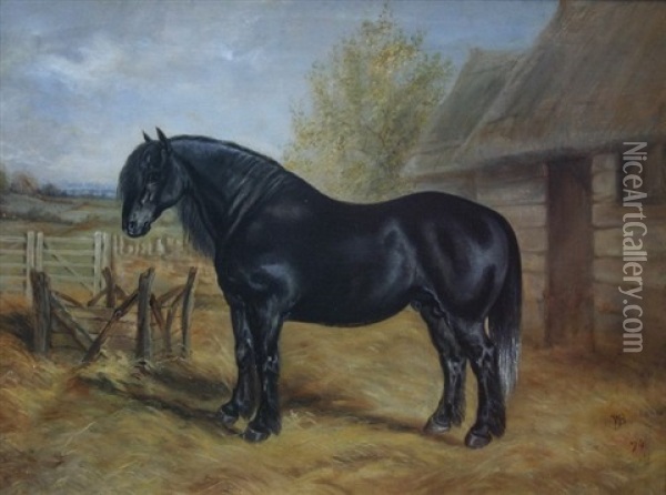 Portrait Of A Welsh Black Cob Horse Oil Painting - James Walsham Baldock