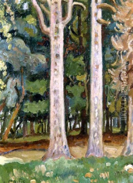 L'allee D'arbres Oil Painting - Henri Lienard De Saint-Delis