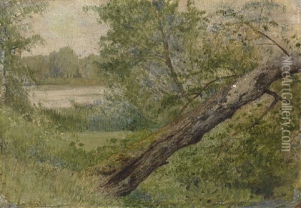 Tree By The Lake Oil Painting - Isaak Levitan