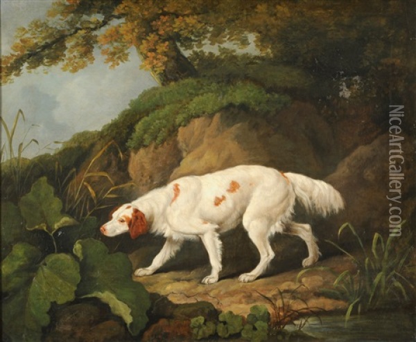 Irish Setter In A Wooded Landscape Oil Painting - James Barenger the Younger