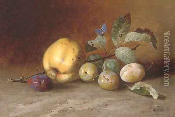 A cooking apple, plums and a butterfly Oil Painting - Dutch School