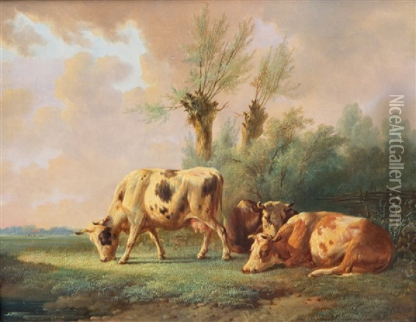 Resting Cows In A Meadow Oil Painting - Albertus Verhoesen