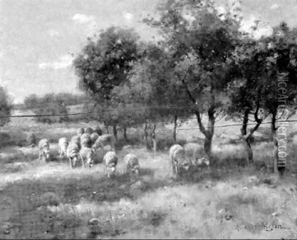 Sheep In A Lush Pasture Oil Painting - Reuben Le Grande Johnston