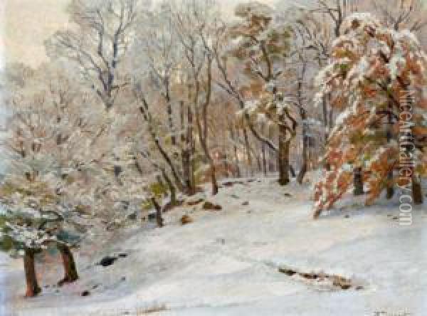 Winterlandschaft Oil Painting - Hugo Darnaut