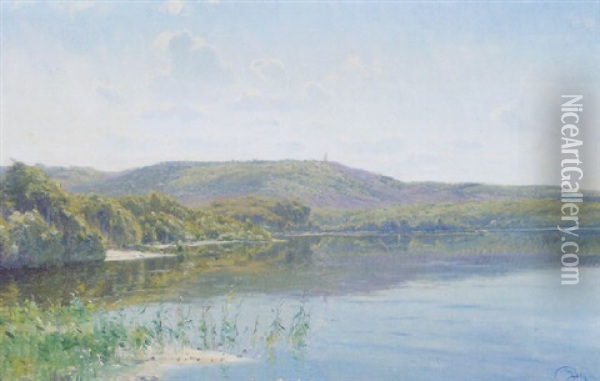 A Tranquil Lake Landscape Oil Painting - Johannes Boesen