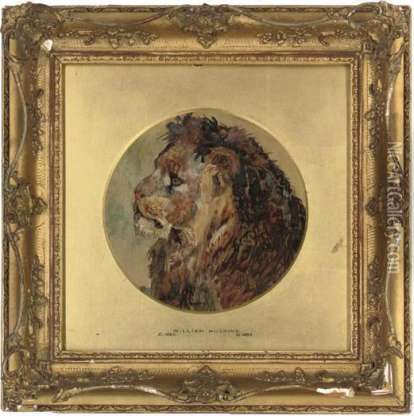 Head Of A Lion Oil Painting - William Huggins