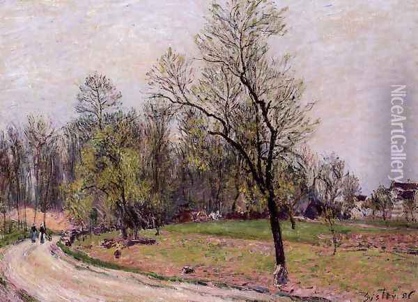 Edge of the Forest in Spring, Evening Oil Painting - Alfred Sisley