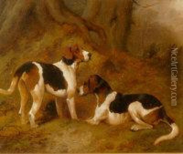 Pair, Studies Of Hunting Hounds Oil Painting - George Wright
