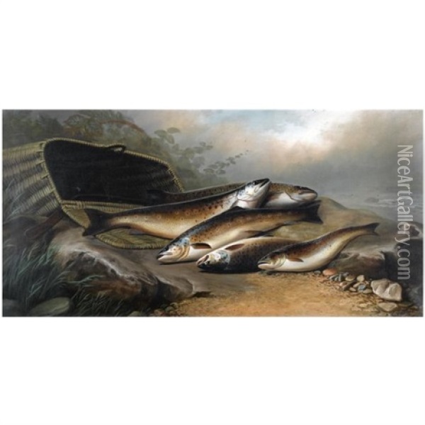 River Trout Oil Painting - John Bucknell Russell