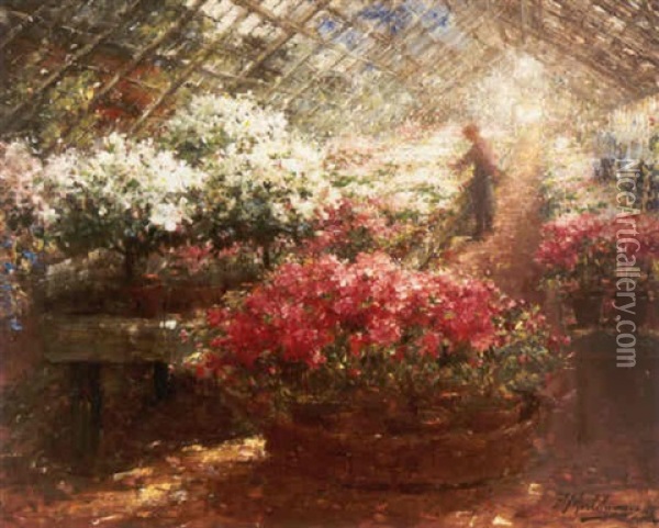 In The Greenhouse Oil Painting - Frans Mortelmans