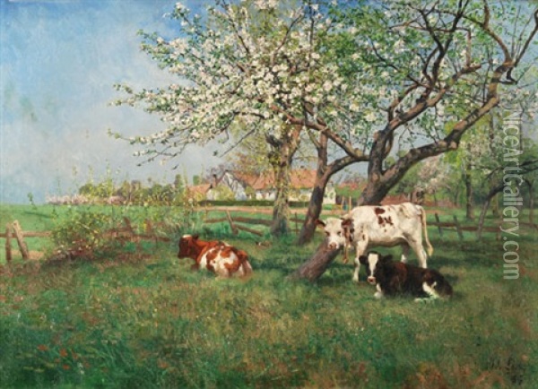 Kuhe Unter Bluhenden Obstbaumen Oil Painting - Adolf Lins