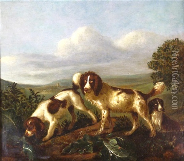 Spaniels Hunting In A Landscape Oil Painting - Adriaen Cornelisz Beeldemaker