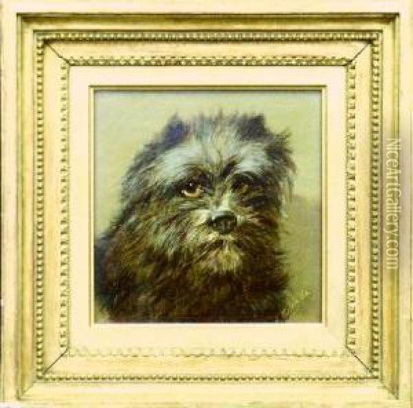Portrait Of A Cairn Terrier Oil Painting - Alfred Morris