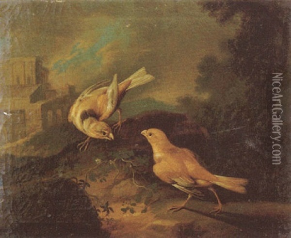 Oiseau Oil Painting - Johann Adalbert Angermayer
