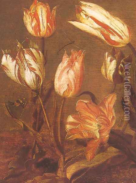 Tulip Field (detail) 1638 Oil Painting - Jacob Gerritsz. Cuyp