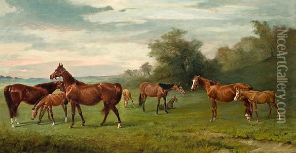 Mares And Foals At Lavington Oil Painting - James Lynwood Palmer