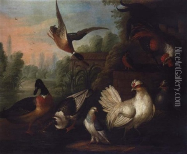 A Still Life With Chickens, Ducks, A Kingfisher And A Pigeon In A River Landscape Oil Painting - Pieter Casteels III