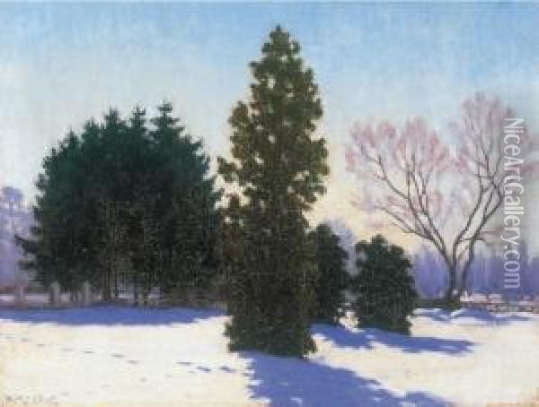 Park In Winter Oil Painting - Samu Bortsok