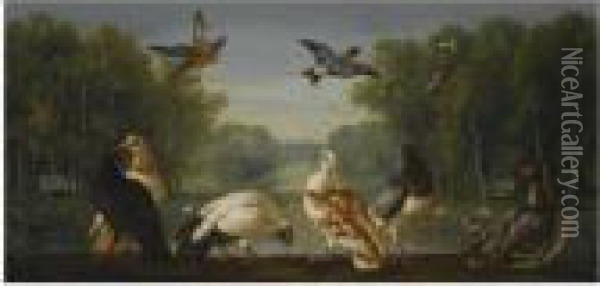 A Park Landscape With A Kingfisher, A Bullfinch Oil Painting - Pieter III Casteels