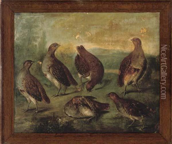 Grey Partridge In An Extensive Landscape Oil Painting - Stephen Elmer