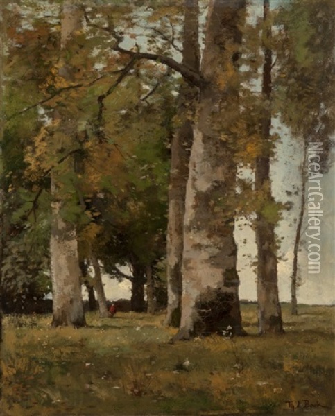 A Figure In A Wooded Landscape Oil Painting - Theophile De Bock