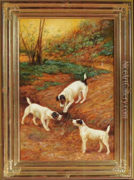 Three Terriers At A Rabbit Hole Oil Painting - Arthur Wardle