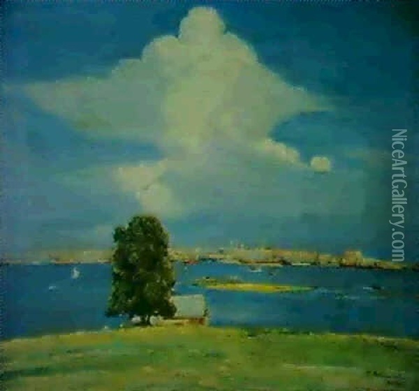 Vista De Montevideo Oil Painting - Pedro Blanes Viale