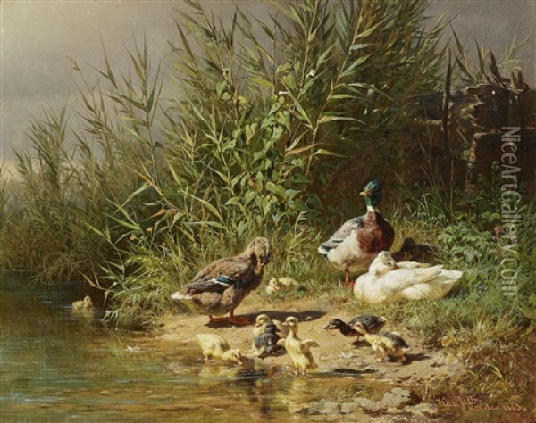 Ducks At The Shore Oil Painting - Carl Jutz the Elder