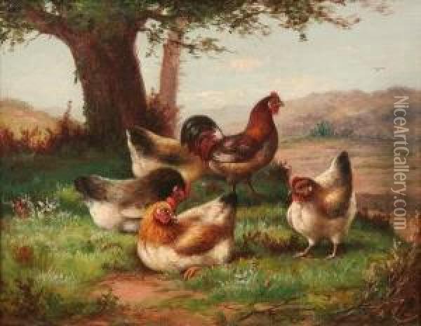 Five Hens Oil Painting - August Laux