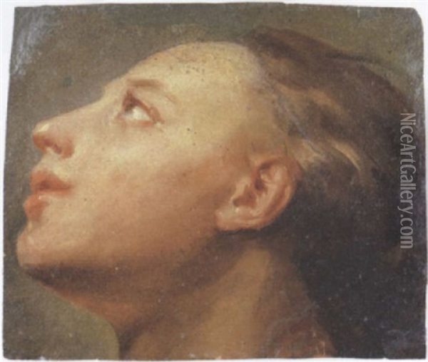 Head Of A Woman Oil Painting - Gaetano Gandolfi