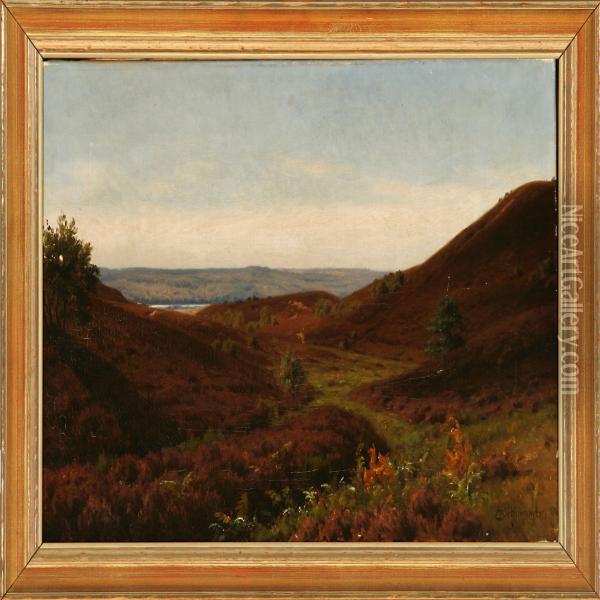 Moor Landscape At Silkeborg Lake District Oil Painting - Axel Birkhammer