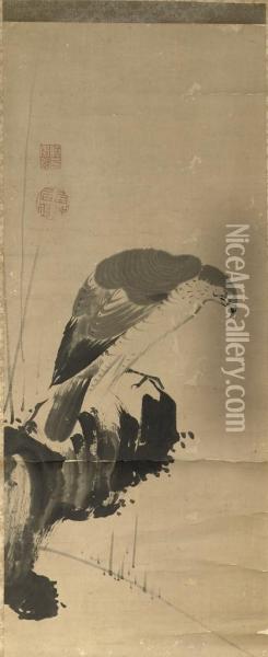 Bird Of Prey Oil Painting - Ito Jakuchu