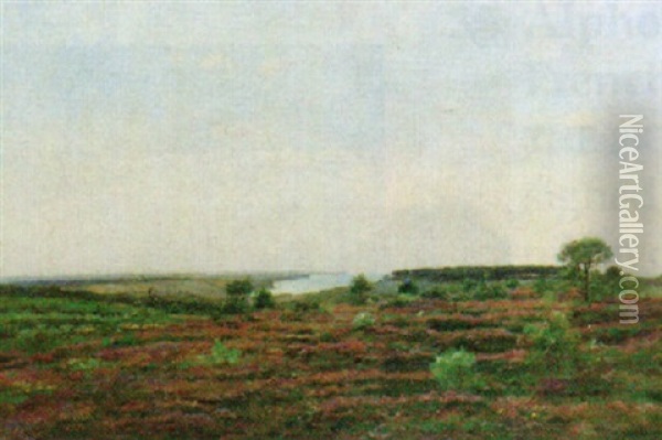Paysage De Bruyere Oil Painting - Pierre Emmanuel Eugene Damoye