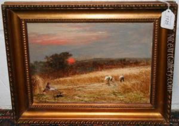 Harvesting Scene At Sunset Oil Painting - James Smyth