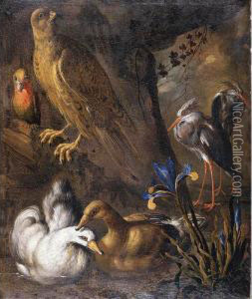 Still Life Of Birds In A Landscape Oil Painting - Paolo Porpora