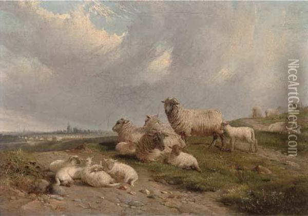 Sheep And Lambs On A Hillside Oil Painting - J. Duvall