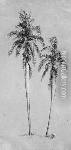 Two Palm Trees Oil Painting - Elihu Vedder