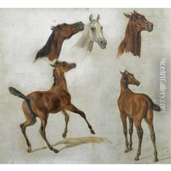 Pferdestudien (horse Studies) Oil Painting - Albrecht Adam