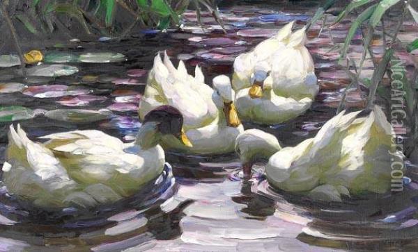 Vier Schwimmende Enten Im Teich Oil Painting - Alexander Max Koester