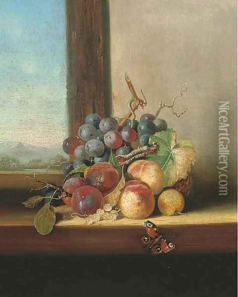 Grapes, plums, nectarines and a butterfly, on a windowsill Oil Painting - Edward Ladell