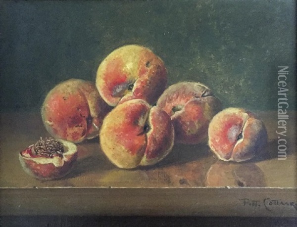 Peaches Oil Painting - Petrus Johannes M. (Piet) Cottaar